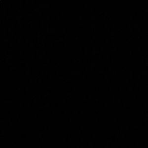 Meet your Posher, Viv